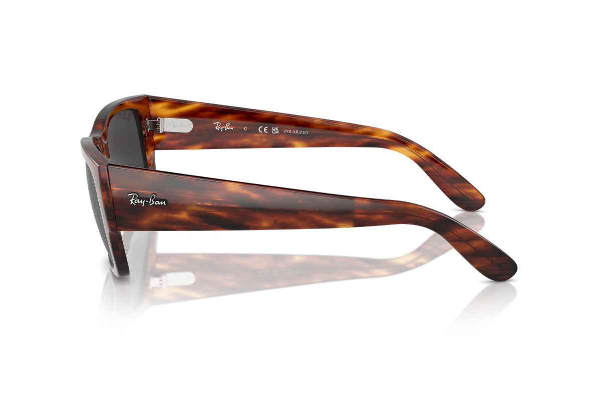 Ray-Ban Carlos Polarizados