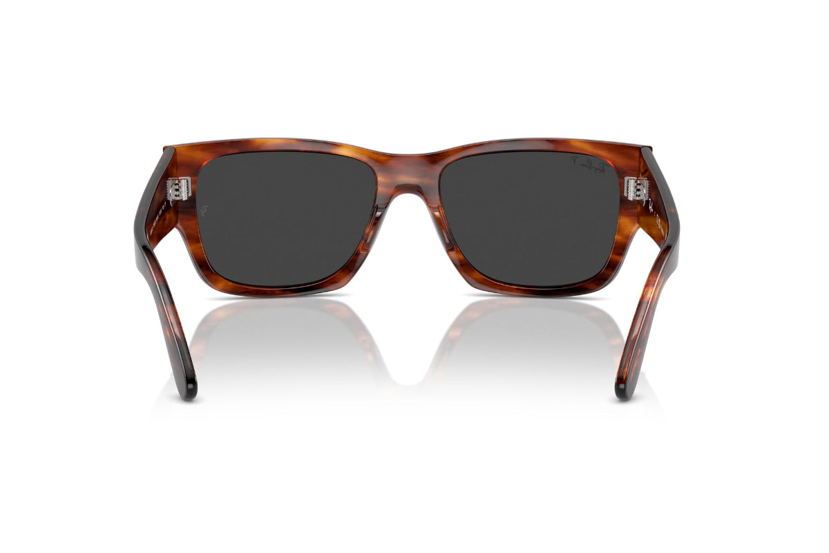 Ray-Ban Carlos Polarizados