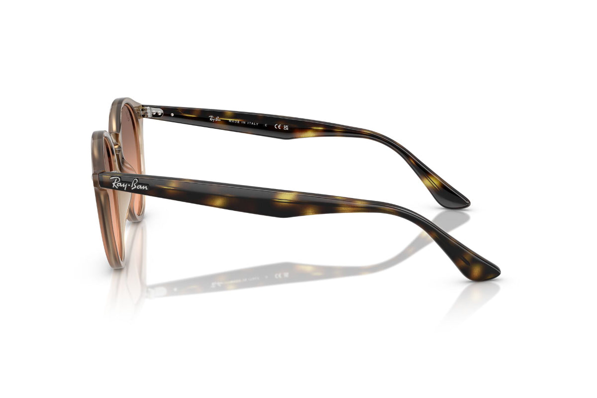 Ray-Ban Lentes de Sol Degradados