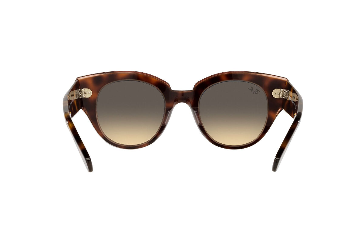 Lentes de Sol Roundabout Havana On  Pink  Ray Ban