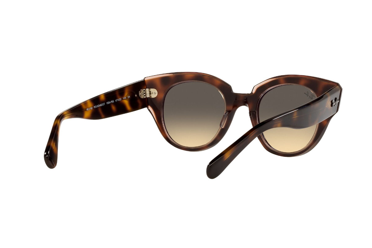 Lentes de Sol Roundabout Havana On  Pink  Ray Ban