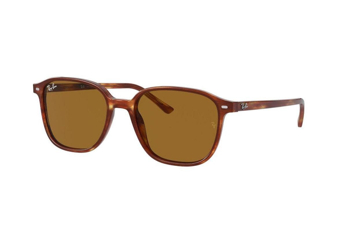 Ray-Ban Leonard