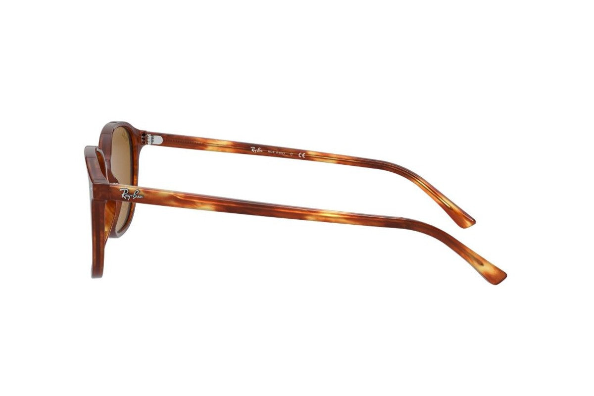 Ray-Ban Leonard