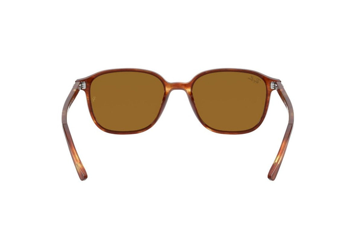 Ray-Ban Leonard