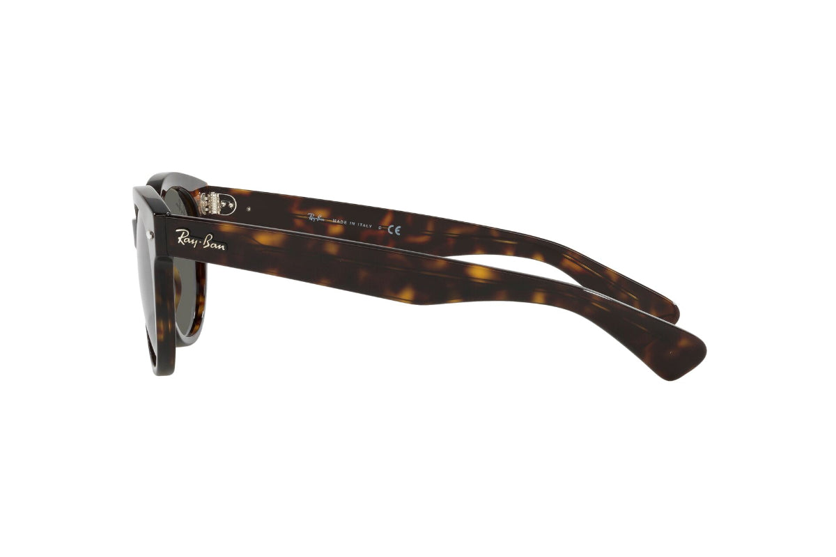 Lentes de Sol Orion Tortoise  Ray Ban