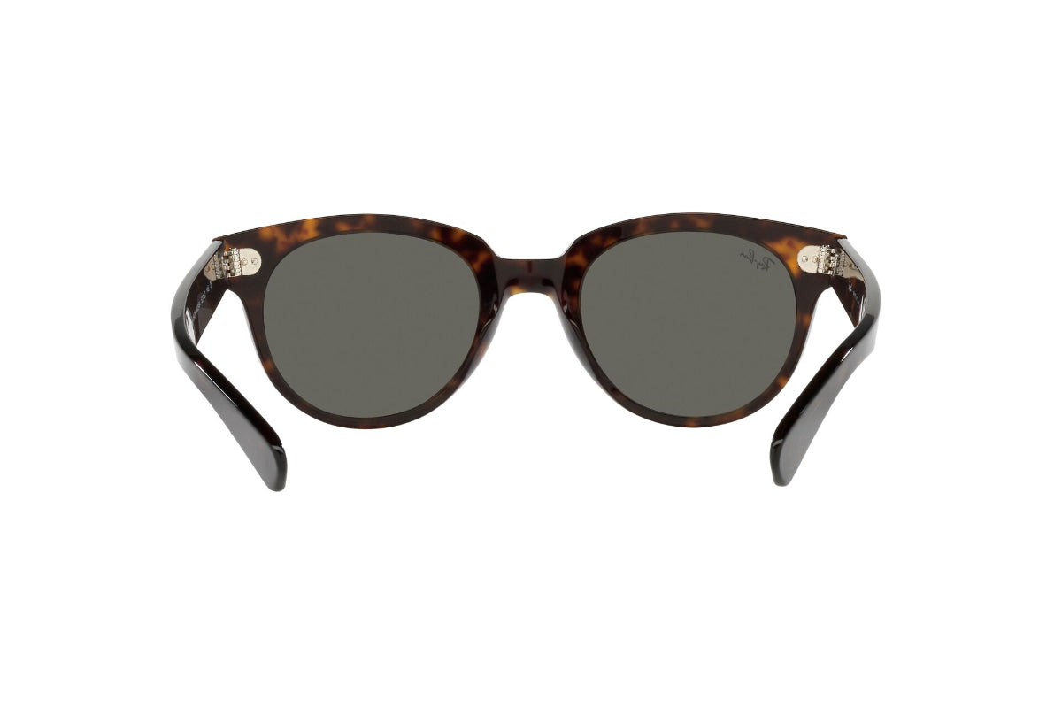 Lentes de Sol Orion Tortoise  Ray Ban