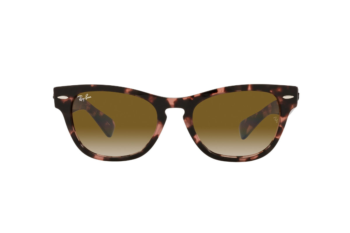 Lentes de Sol Laramie Pink Havana  Ray Ban