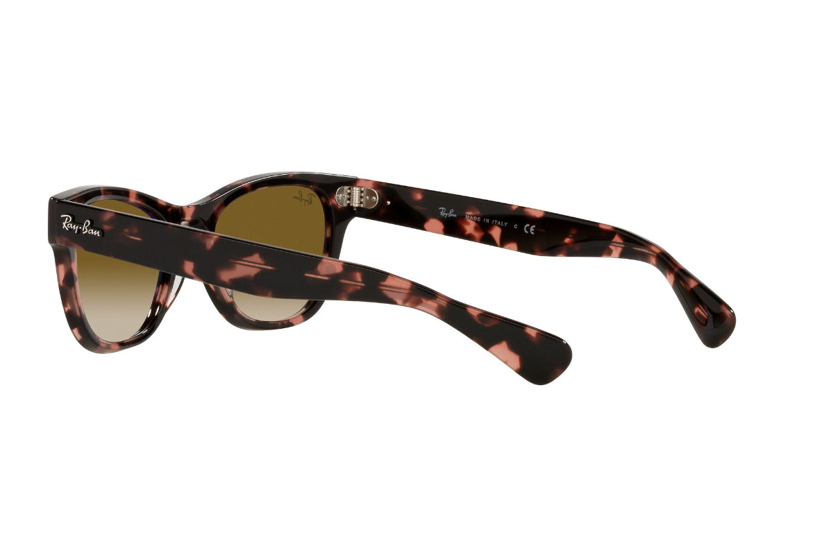 Lentes de Sol Laramie Pink Havana  Ray Ban