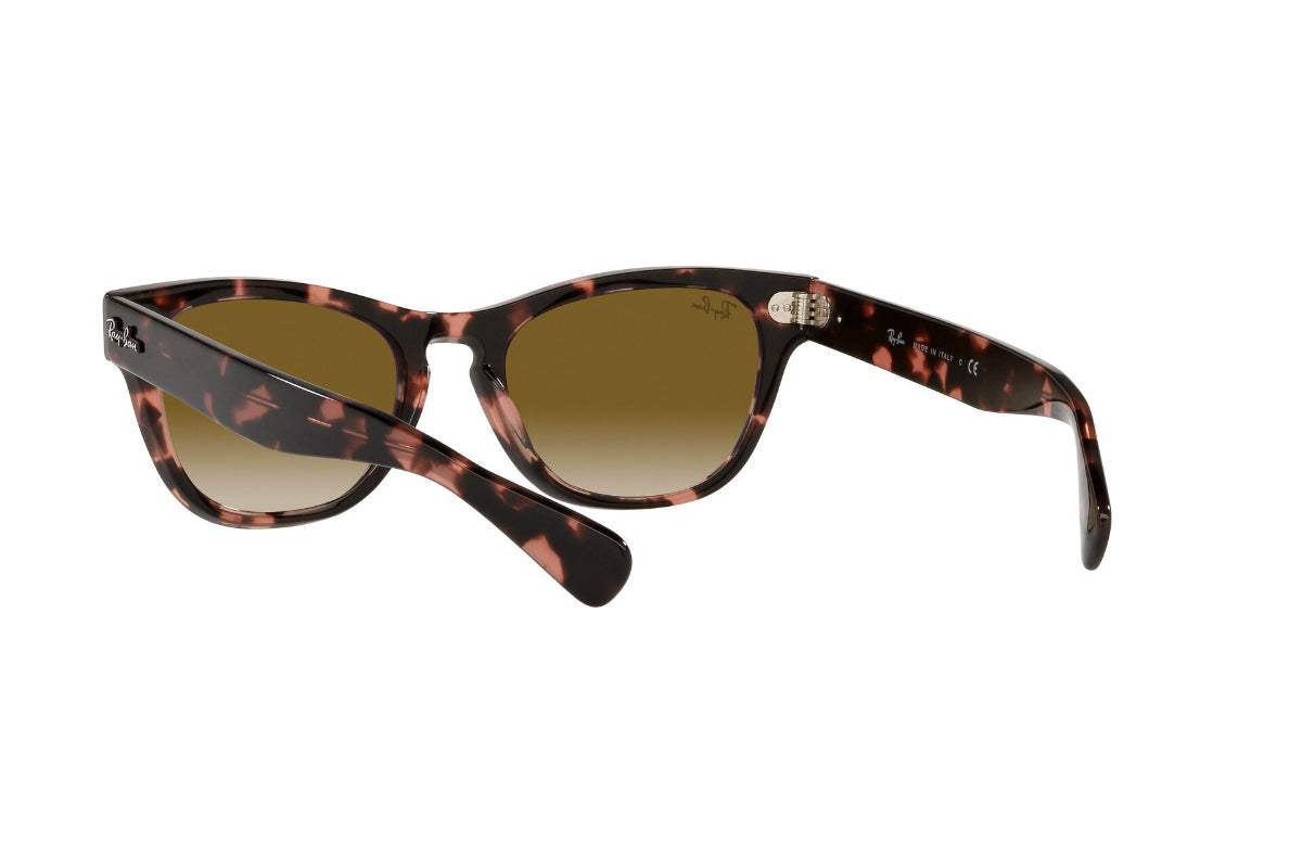 Lentes de Sol Laramie Pink Havana  Ray Ban