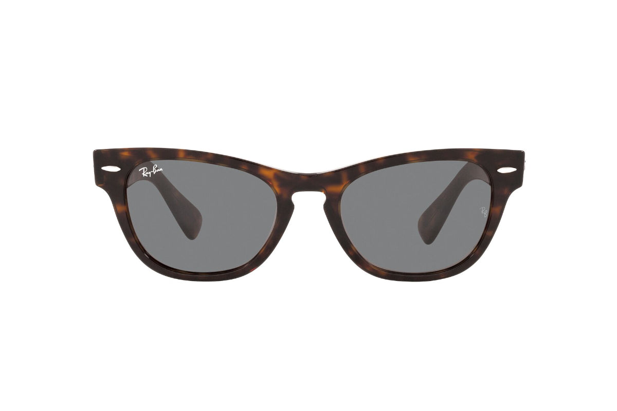 Lentes de Sol Laramie Tortoise  Ray Ban