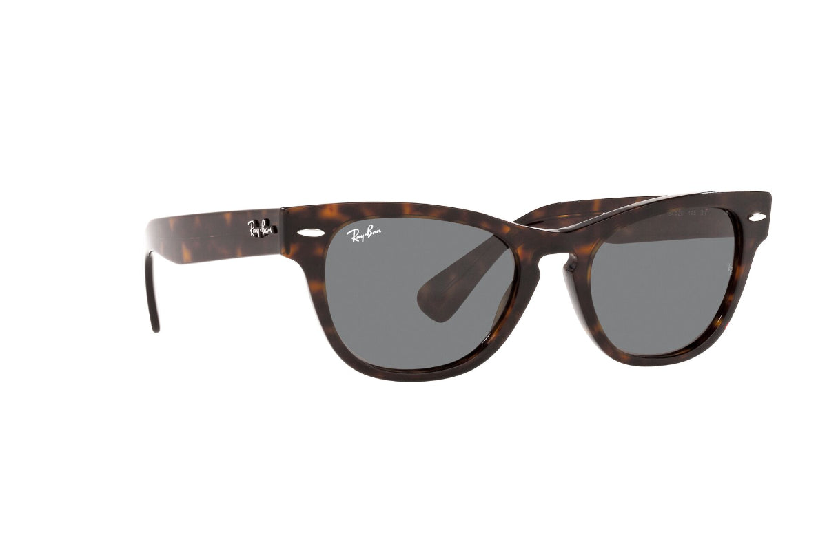 Lentes de Sol Laramie Tortoise  Ray Ban