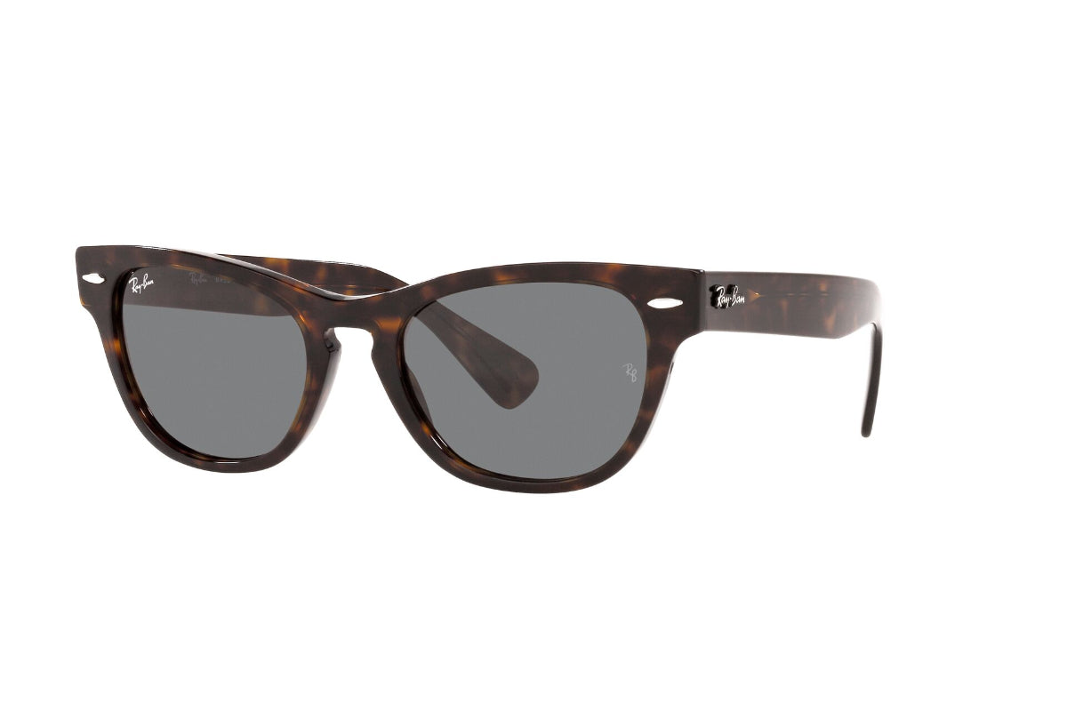 Lentes de Sol Laramie Tortoise  Ray Ban