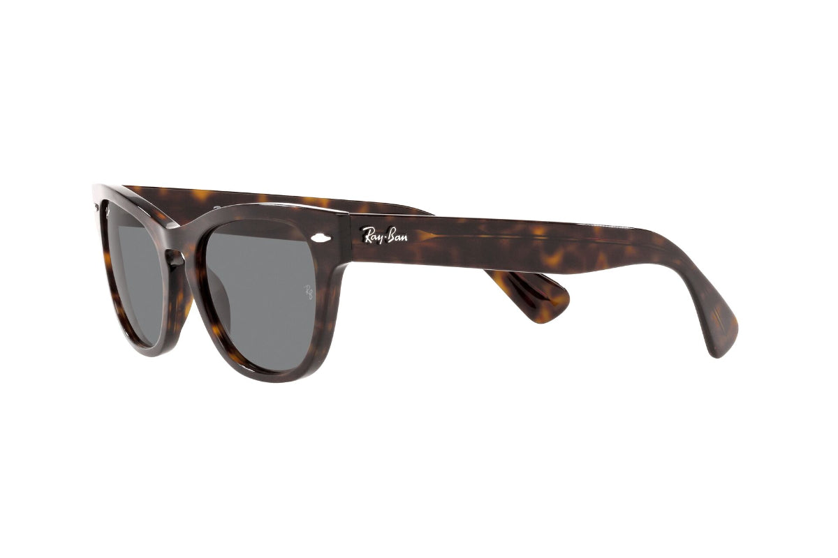 Lentes de Sol Laramie Tortoise  Ray Ban