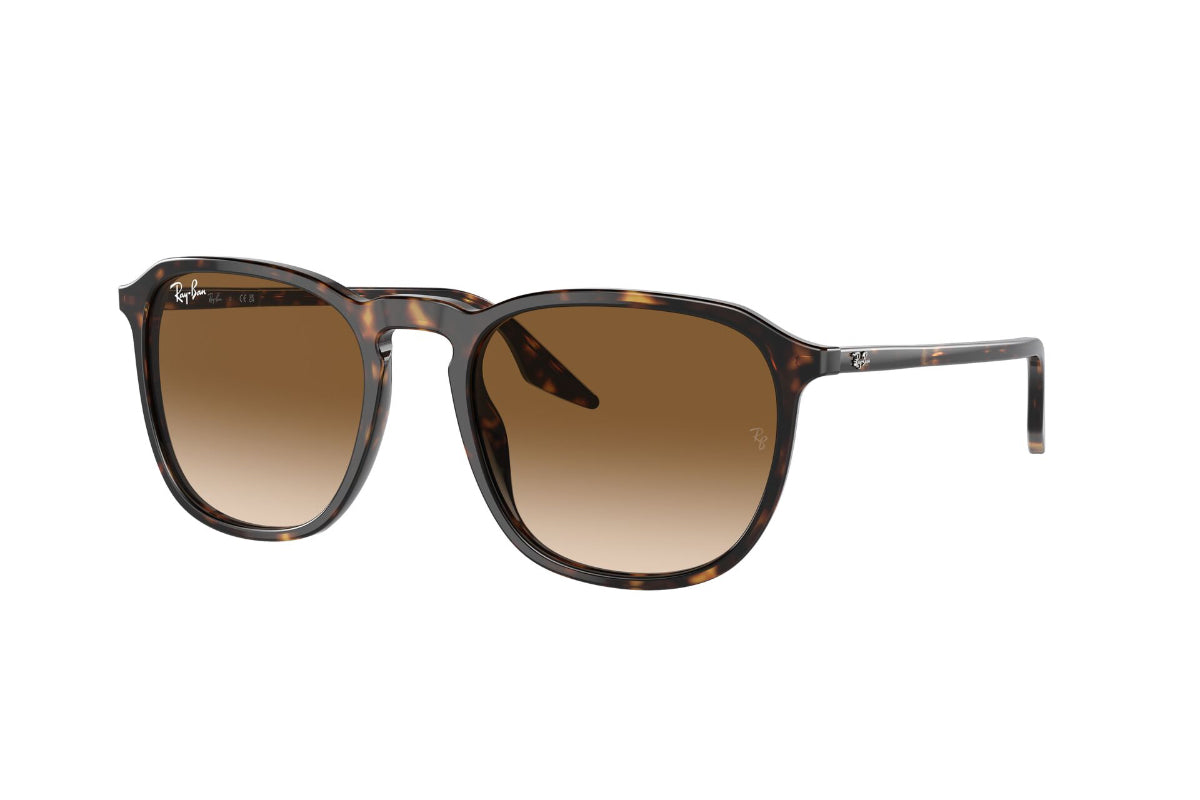 Ray-Ban Lentes de Sol