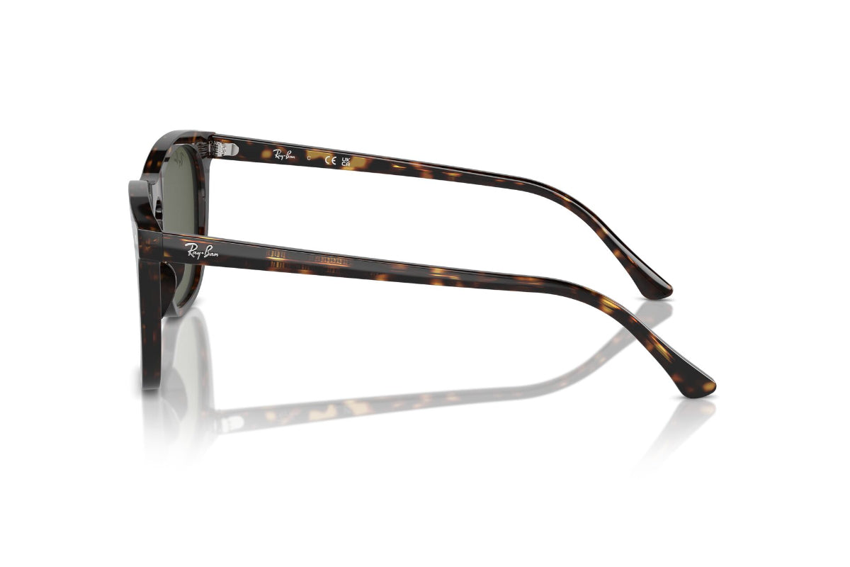 Ray-Ban Lentes de Sol