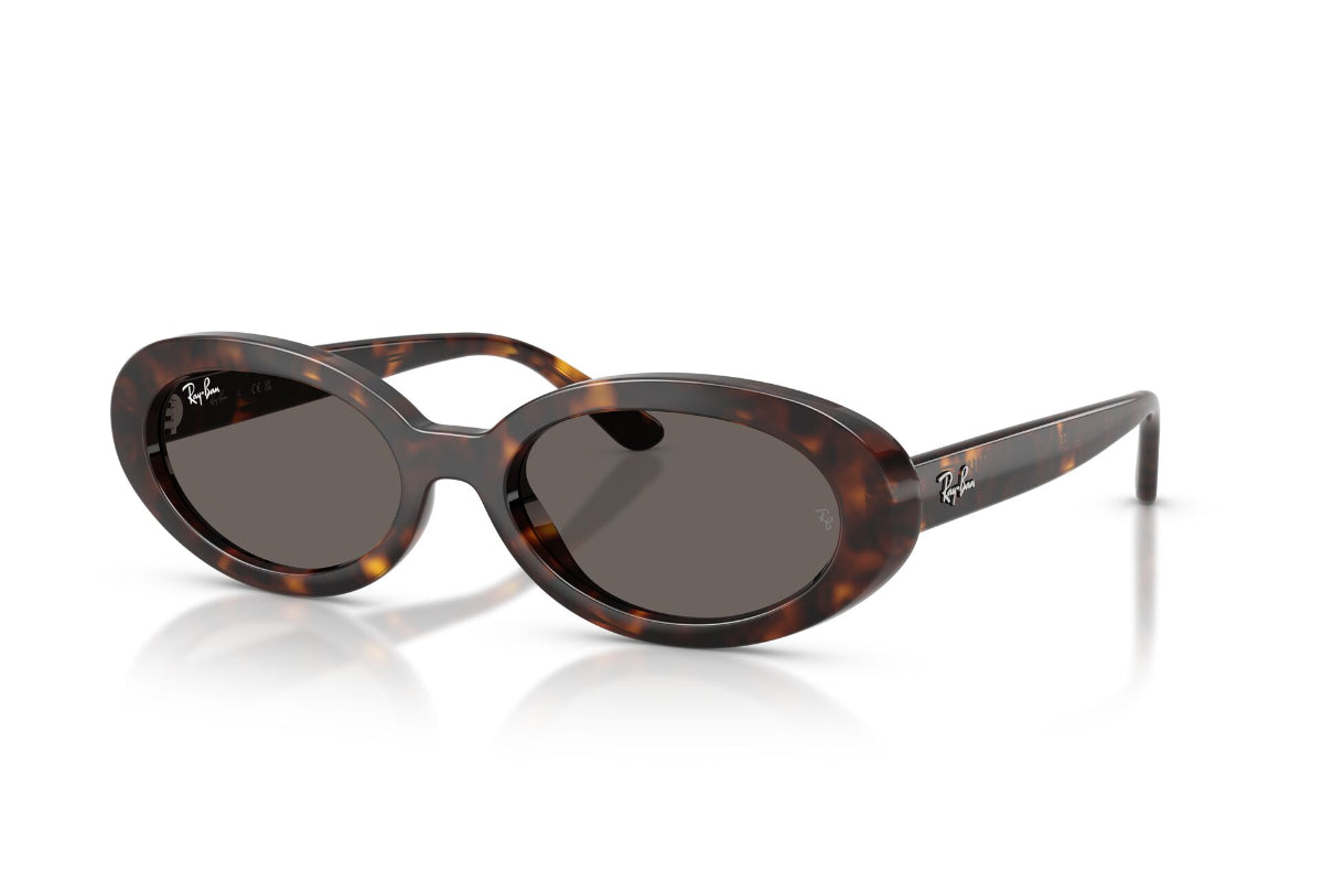 Ray-Ban Lentes de Sol The Bold RB2223