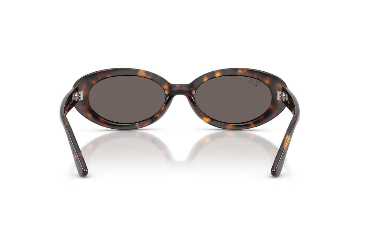 Ray-Ban Lentes de Sol The Bold RB2223
