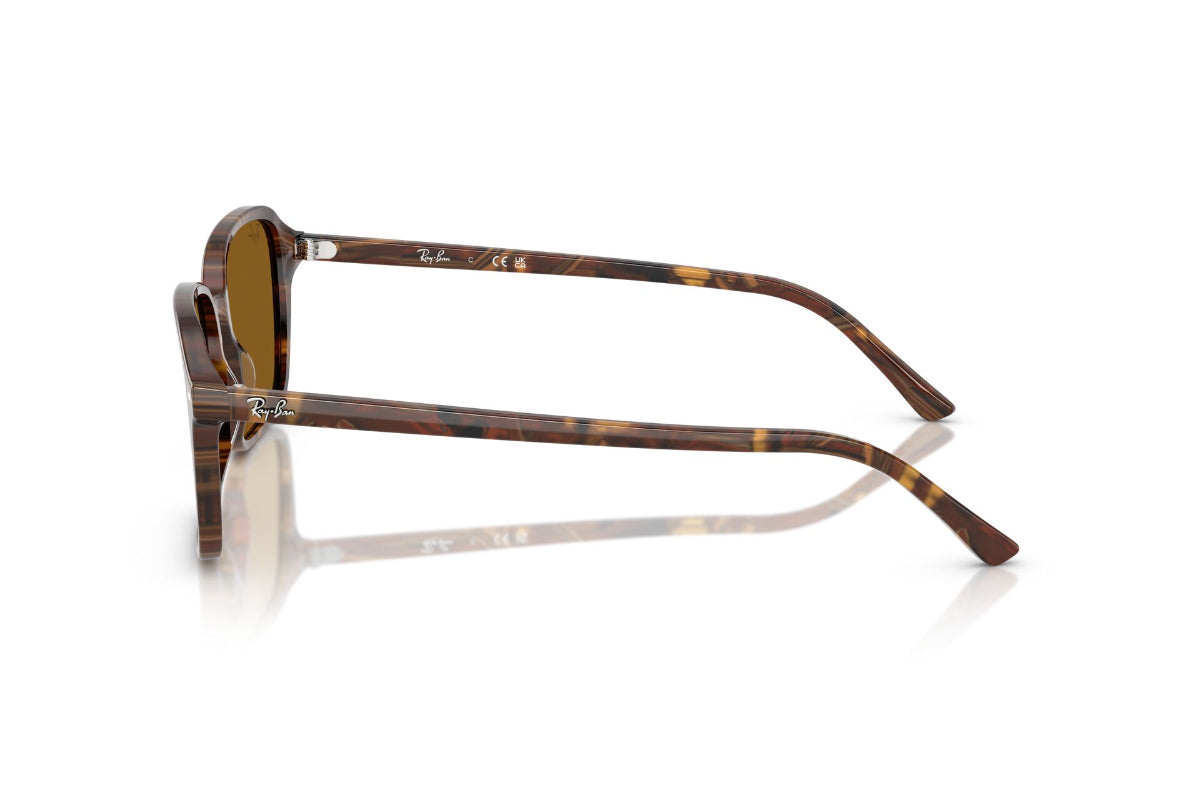 Ray-Ban Raimond