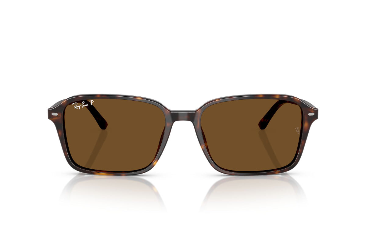 Ray-Ban Raimond Polarizados