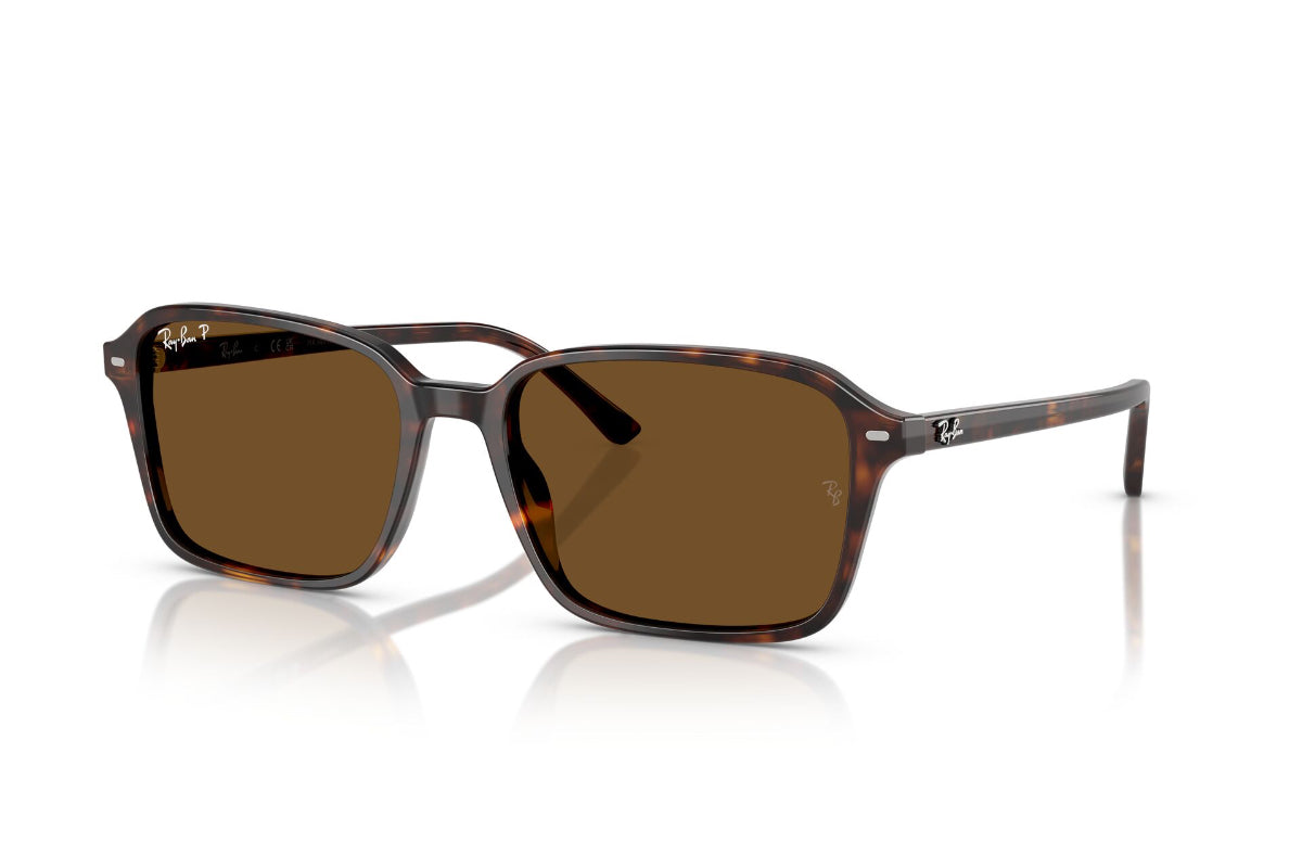 Ray-Ban Raimond Polarizados