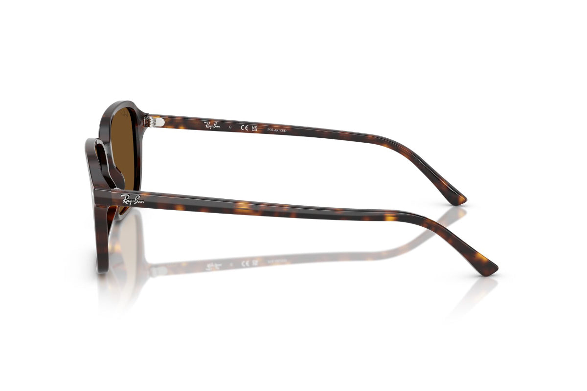 Ray-Ban Raimond Polarizados