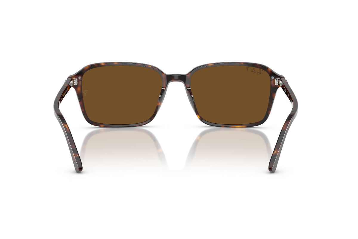 Ray-Ban Raimond Polarizados