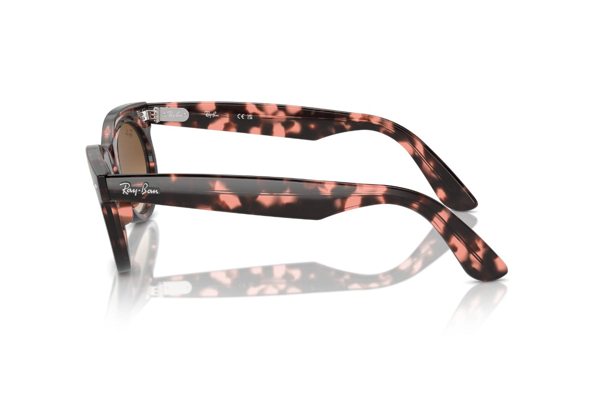 Ray-Ban Wayfarer Oval Degradé
