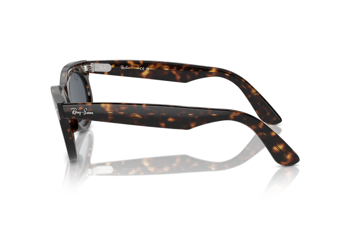 Ray-Ban Wayfarer Oval