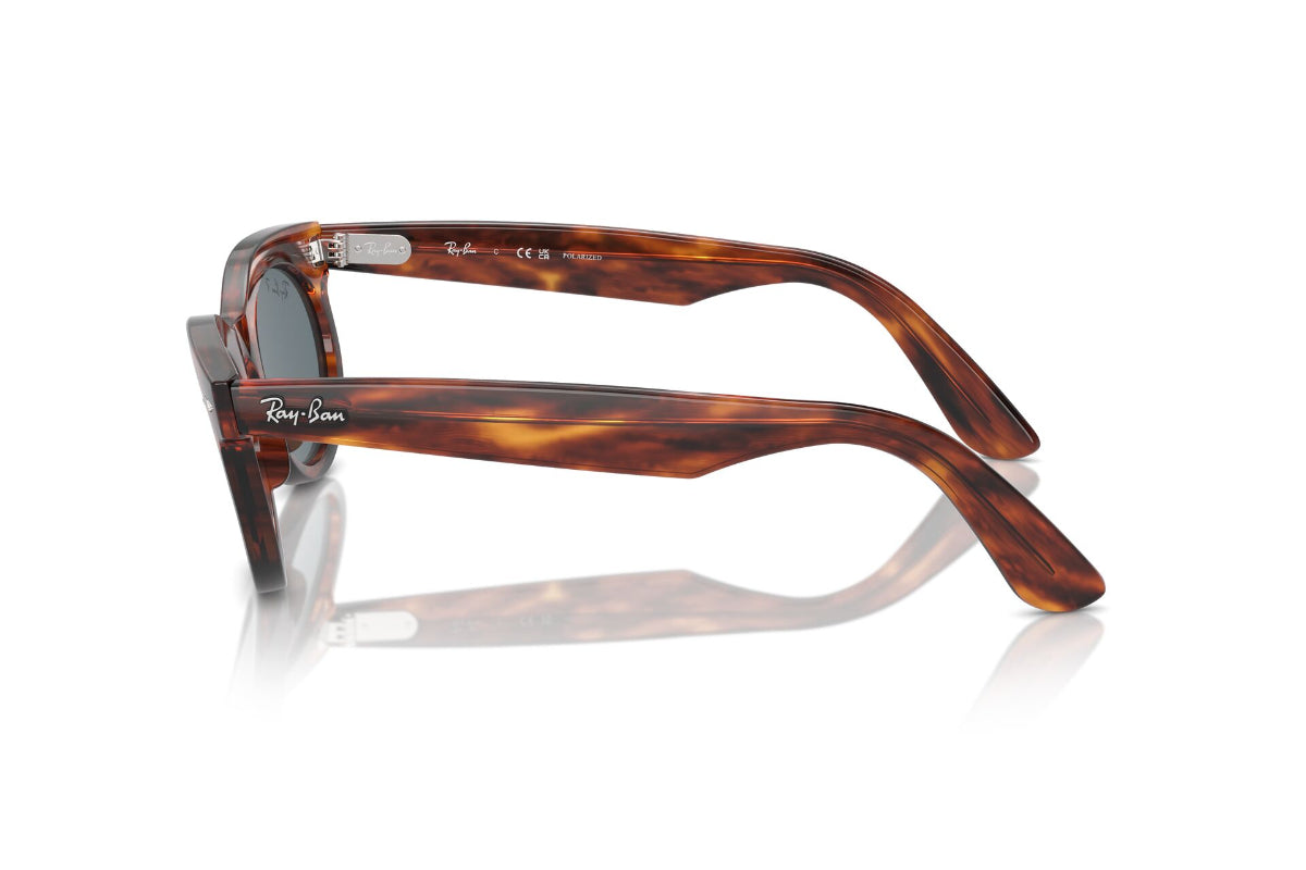 Ray-Ban Wayfarer Oval Polarizados