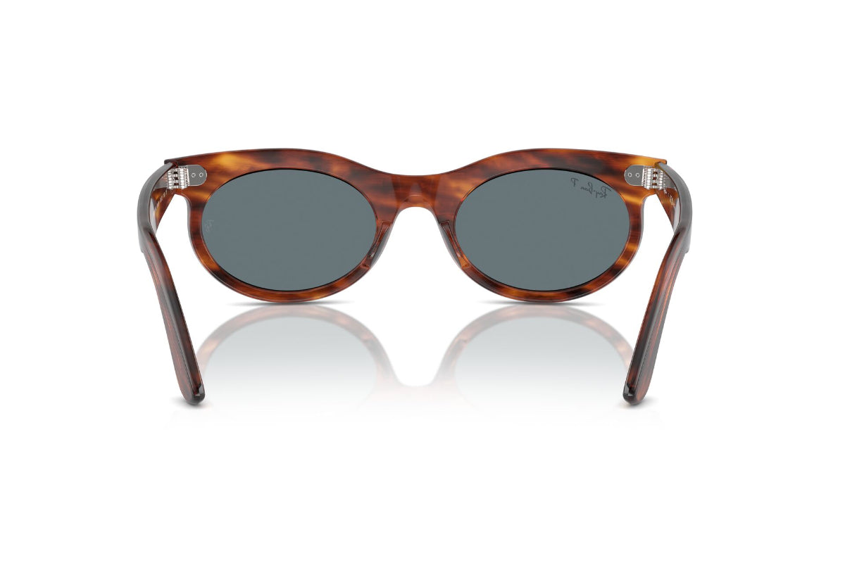 Ray-Ban Wayfarer Oval Polarizados