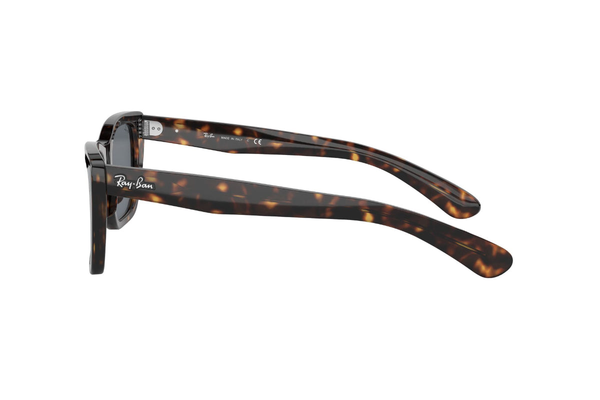 Ray-Ban Lentes de Sol Caribbean RB2248