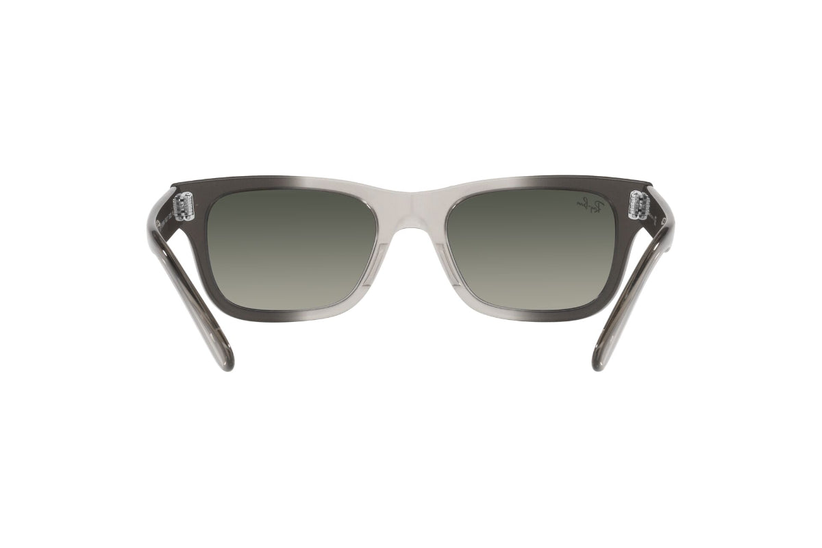 Ray-Ban Mr Burbank