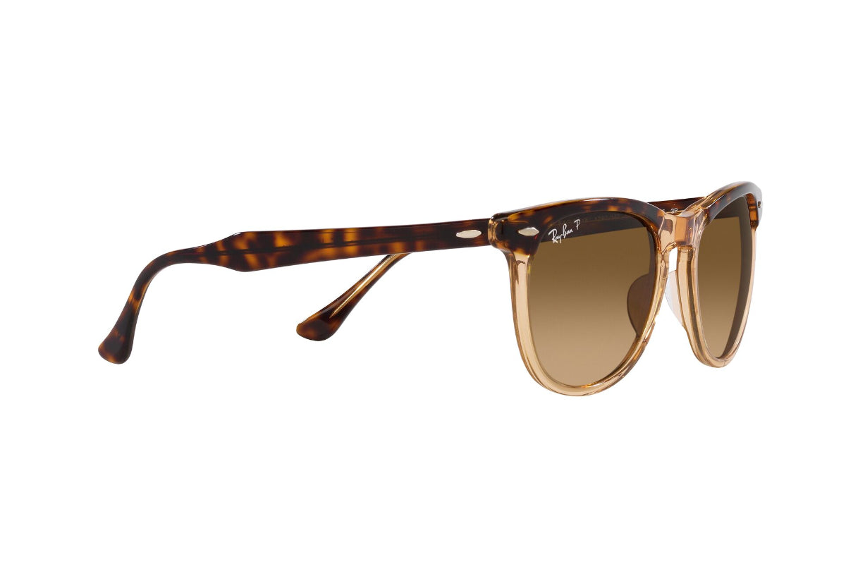 Ray-Ban Eagleeye Polarizados