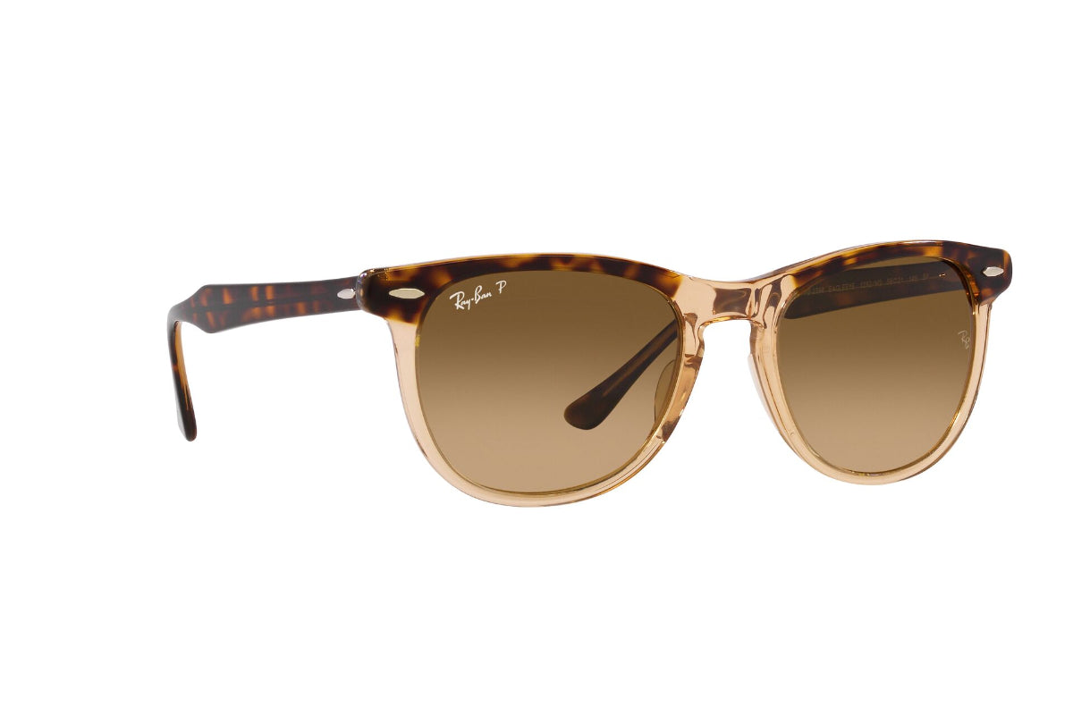 Ray-Ban Eagleeye Polarizados