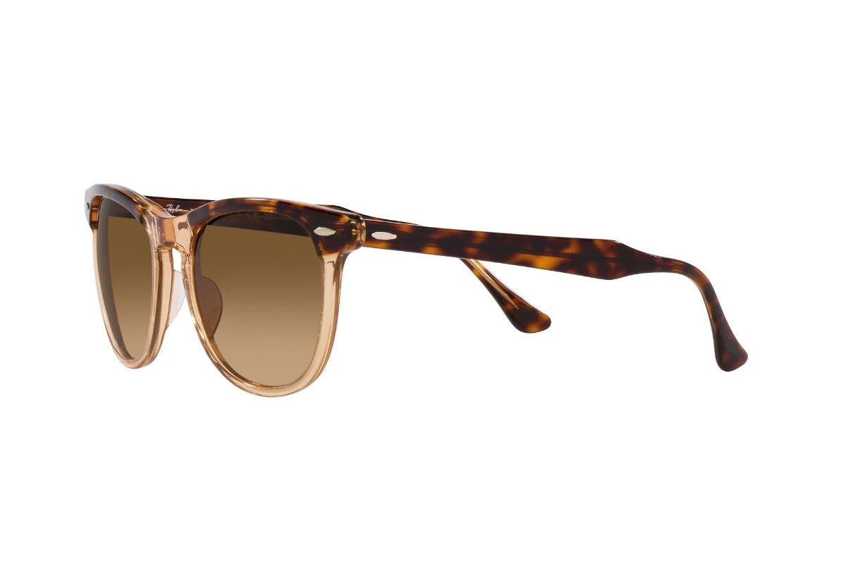 Ray-Ban Eagleeye Polarizados