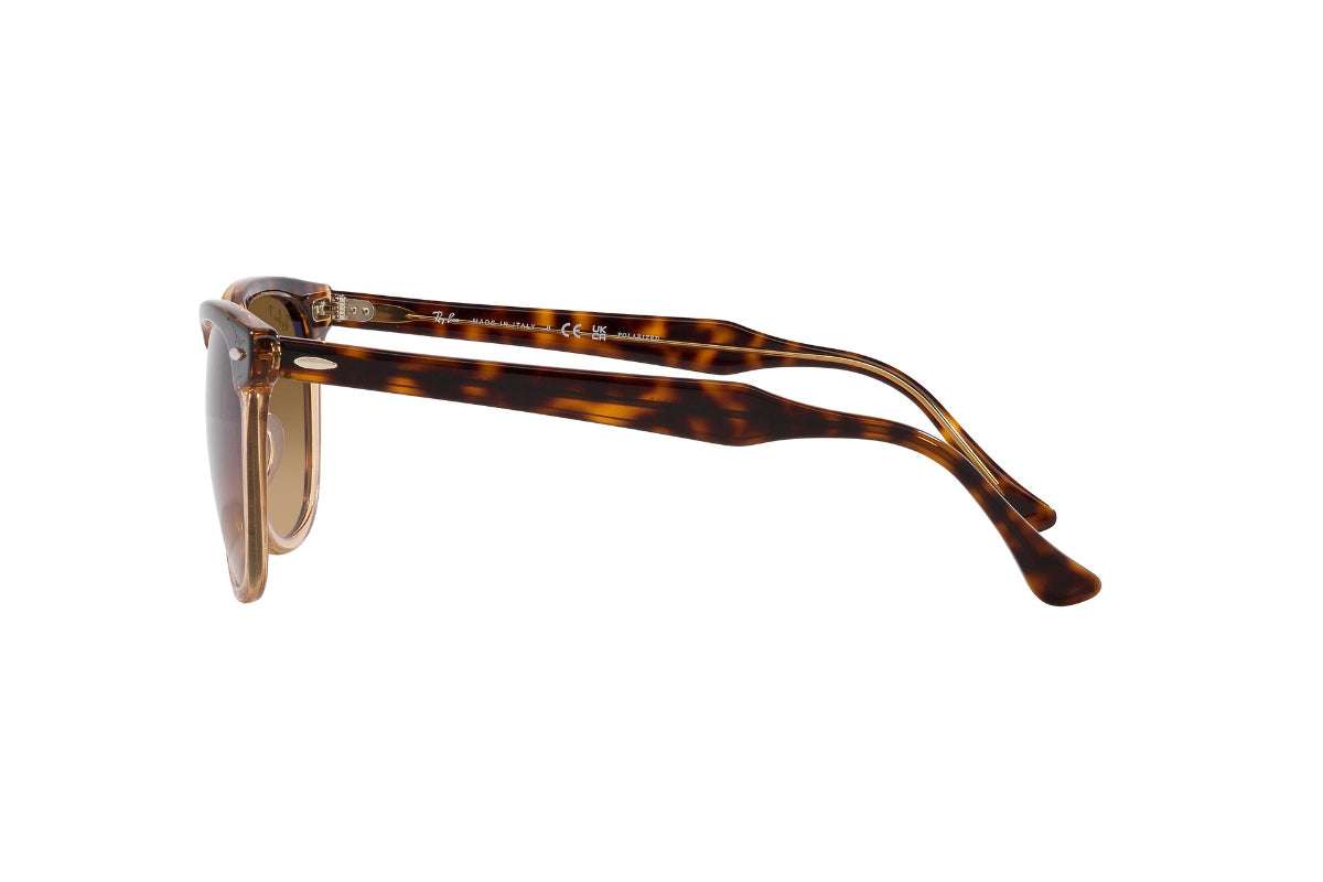 Ray-Ban Eagleeye Polarizados