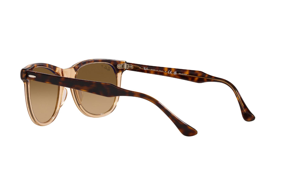 Ray-Ban Eagleeye Polarizados