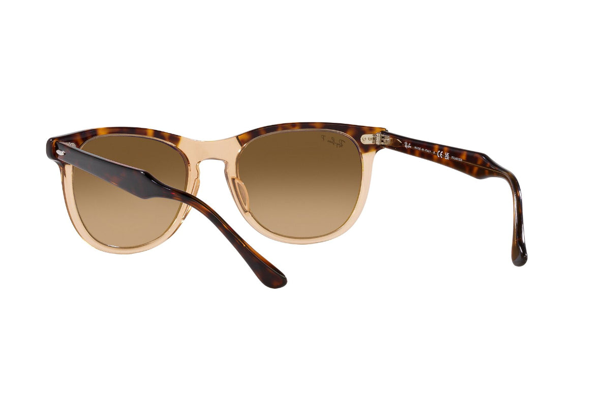 Ray-Ban Eagleeye Polarizados