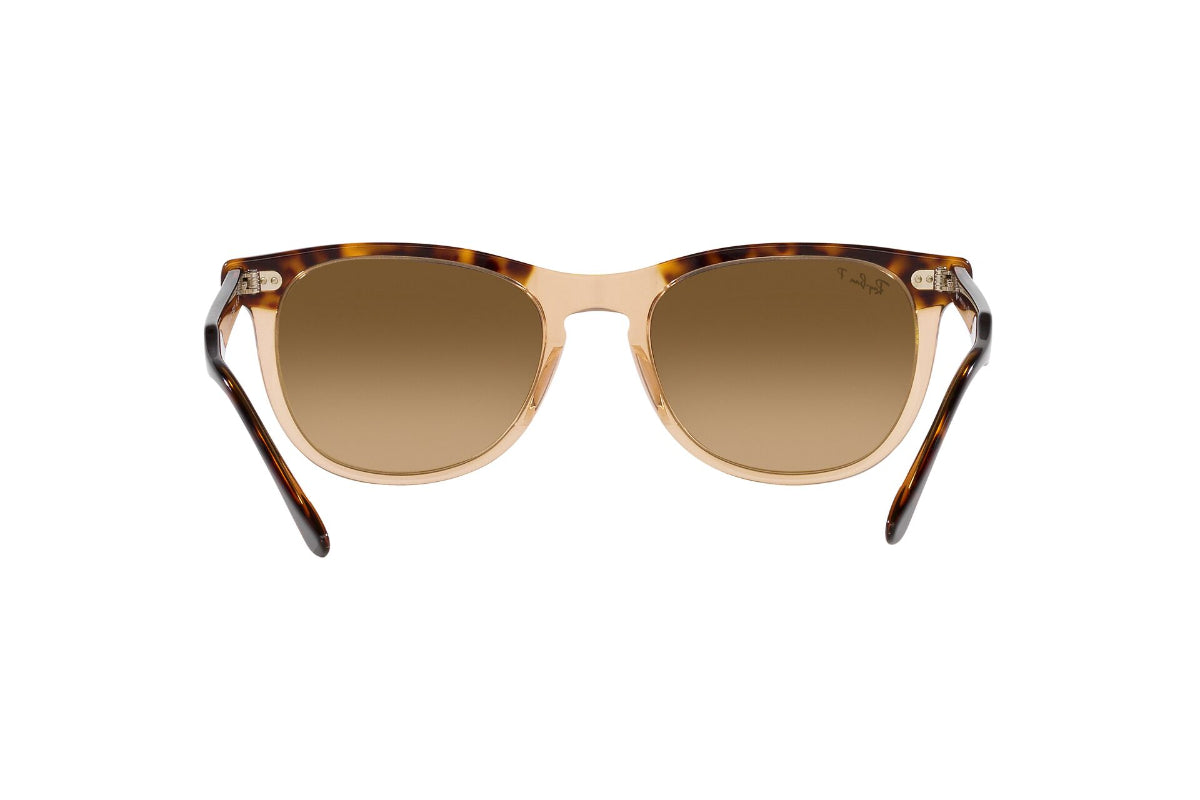 Ray-Ban Eagleeye Polarizados
