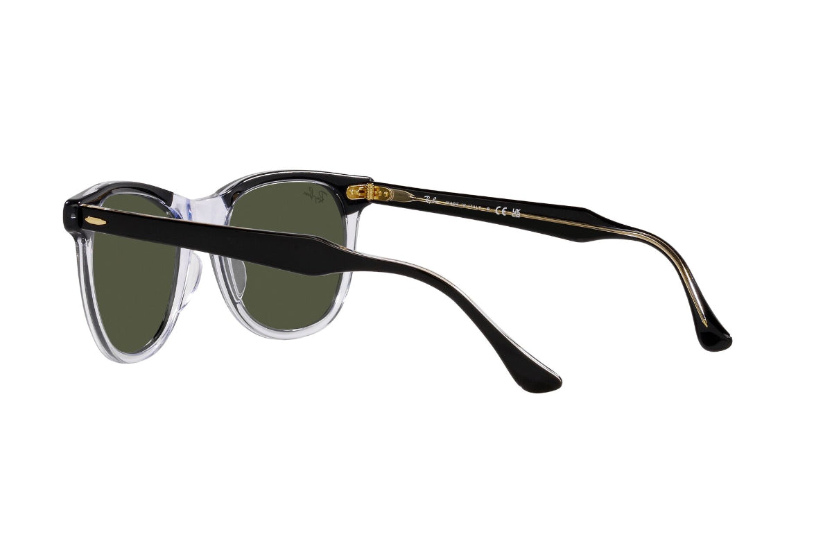 Ray-Ban Eagleeye