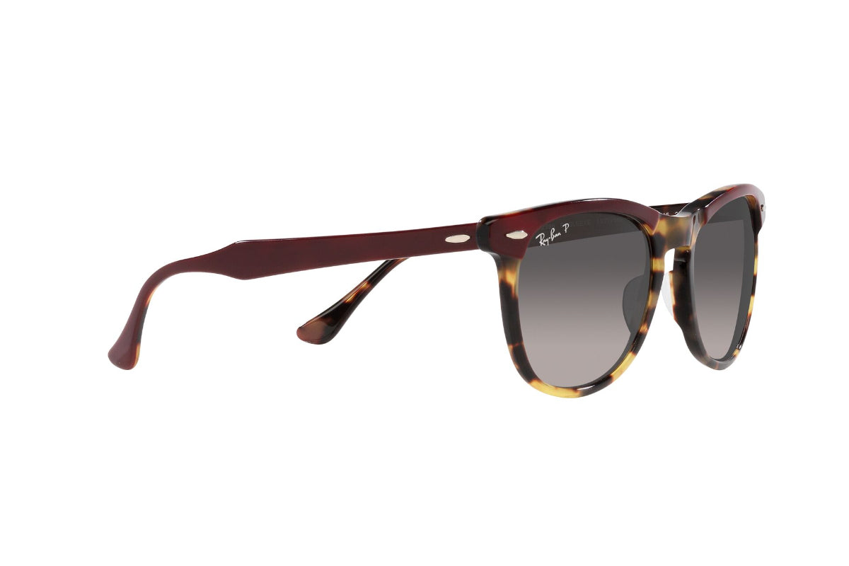 Ray-Ban Eagleeye Polarizados