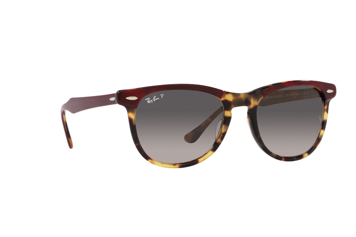 Ray-Ban Eagleeye Polarizados