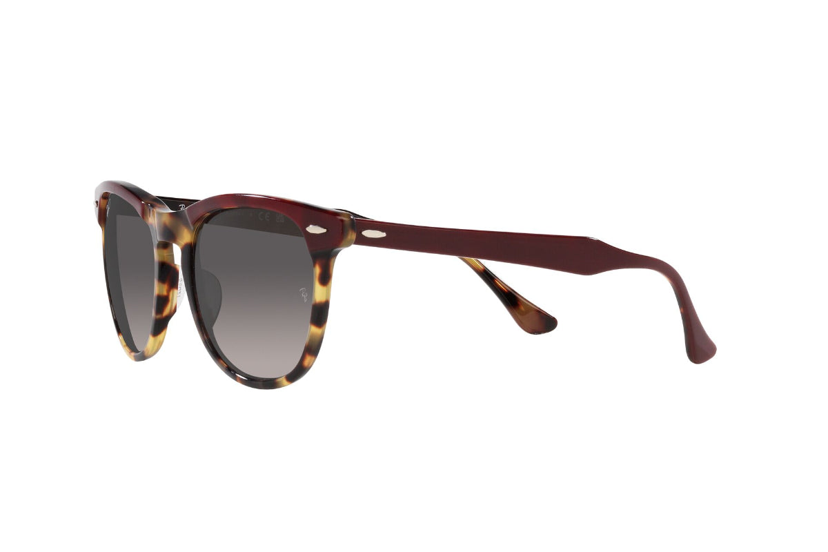 Ray-Ban Eagleeye Polarizados