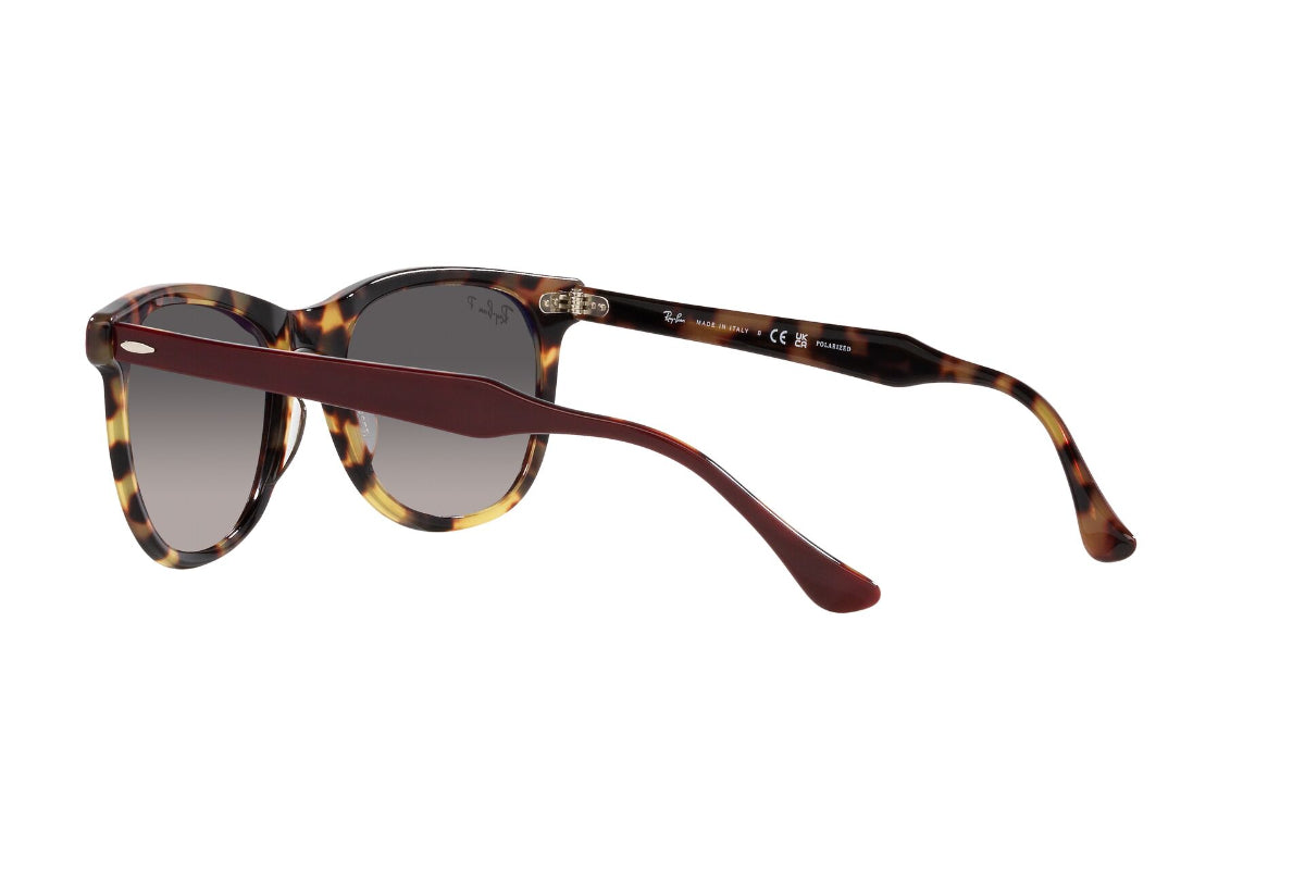 Ray-Ban Eagleeye Polarizados