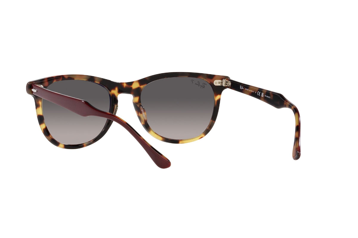 Ray-Ban Eagleeye Polarizados