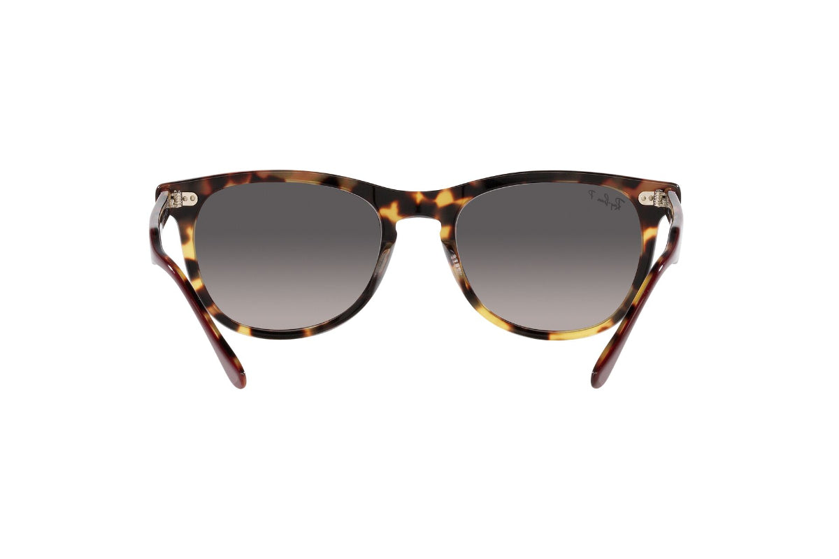 Ray-Ban Eagleeye Polarizados