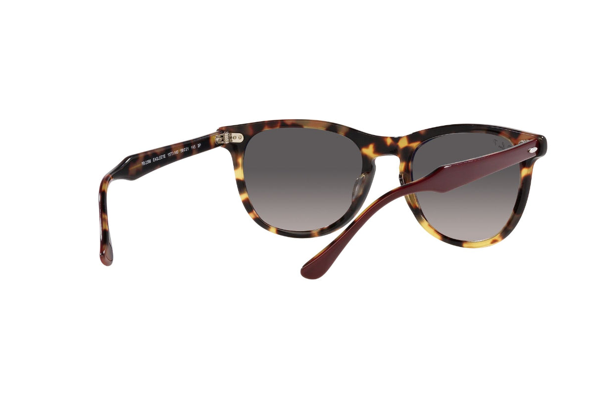 Ray-Ban Eagleeye Polarizados