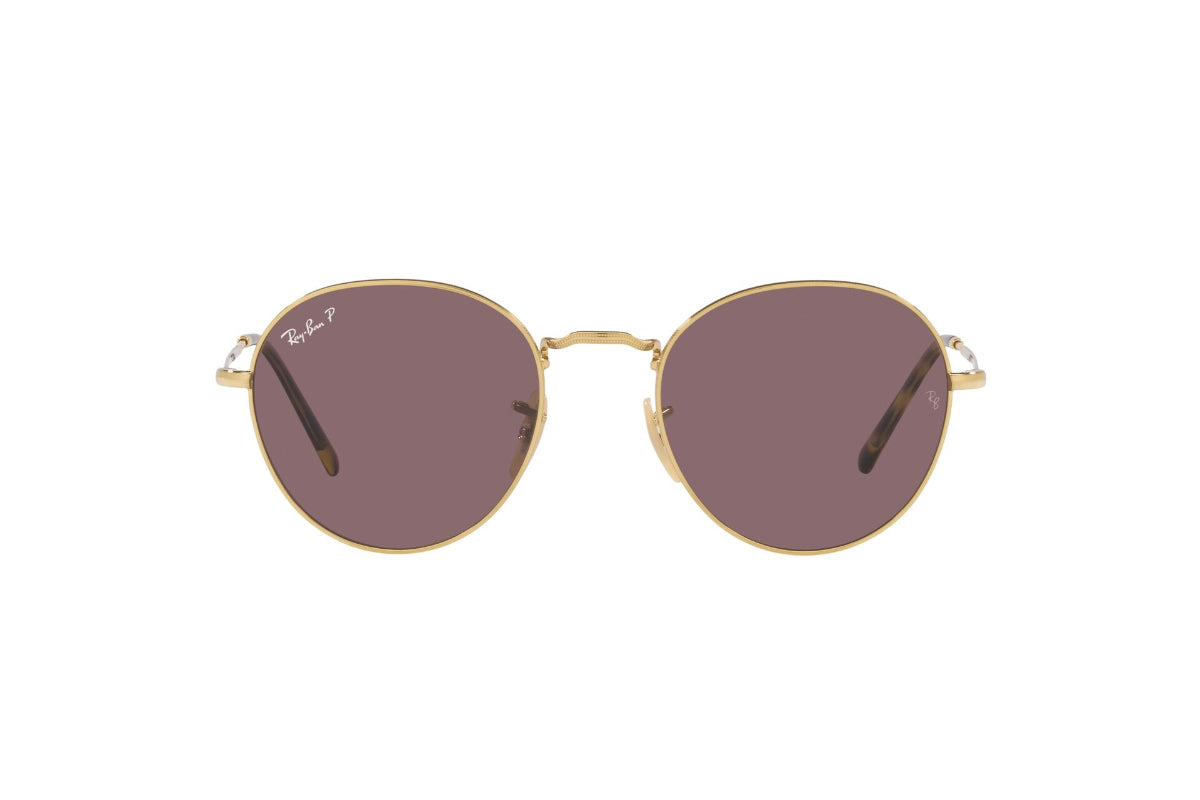 Ray-Ban Lentes de Sol David Polarizados RB3582