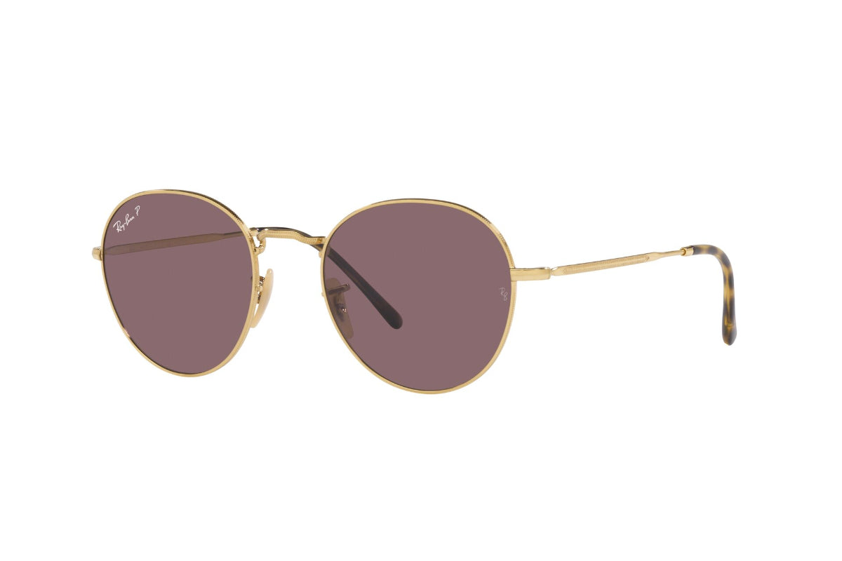 Ray-Ban Lentes de Sol David Polarizados RB3582