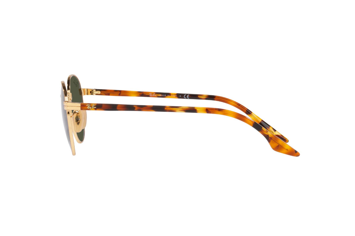 Ray-Ban Lentes de Sol RB3691